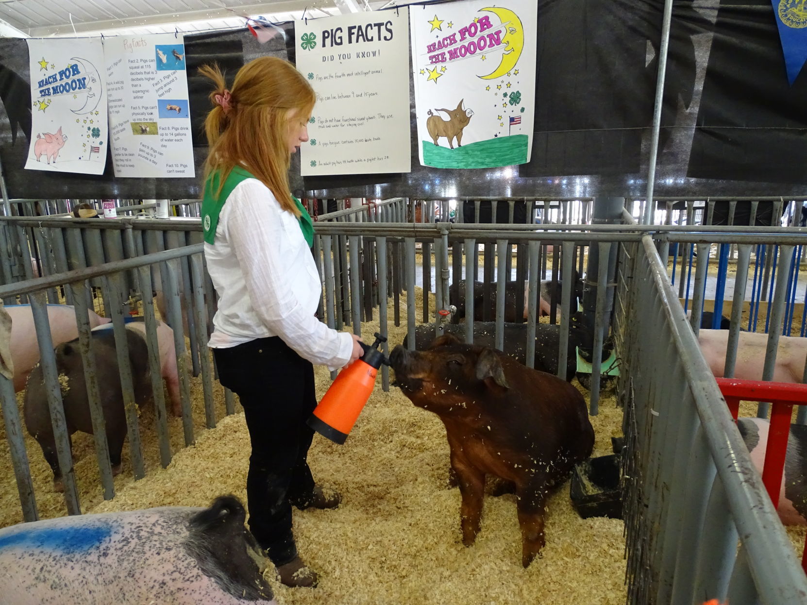 Junior Livestock Auction 2019